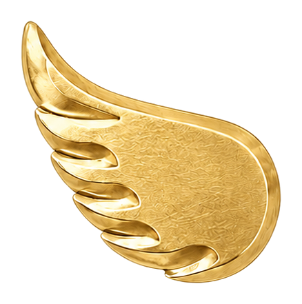 Wing charm en bronce bañado en oro