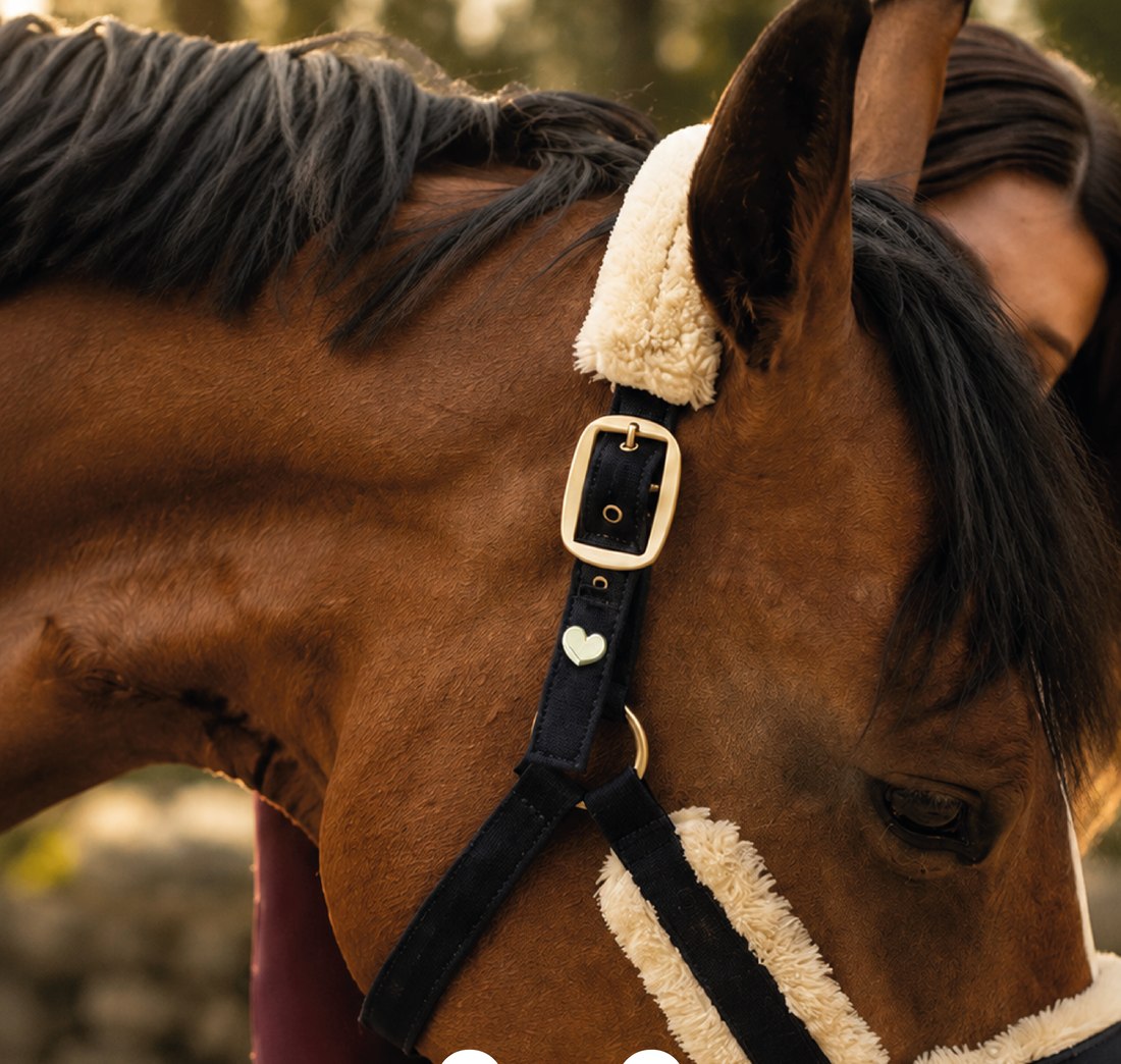 Heart charm en cabezada de caballo